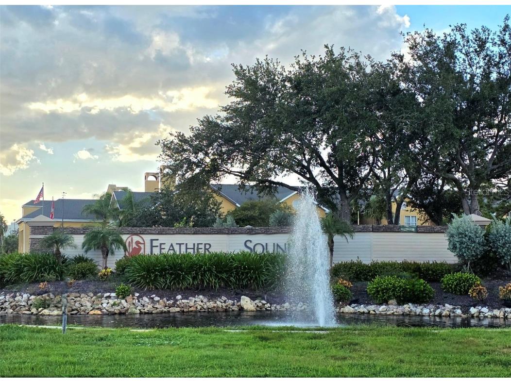 2253 Heron Circle Clearwater FL 33762 TB8436080 image34