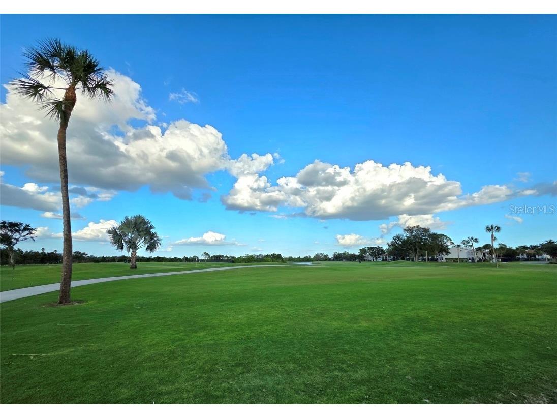 2253 Heron Circle Clearwater FL 33762 TB8436080 image38