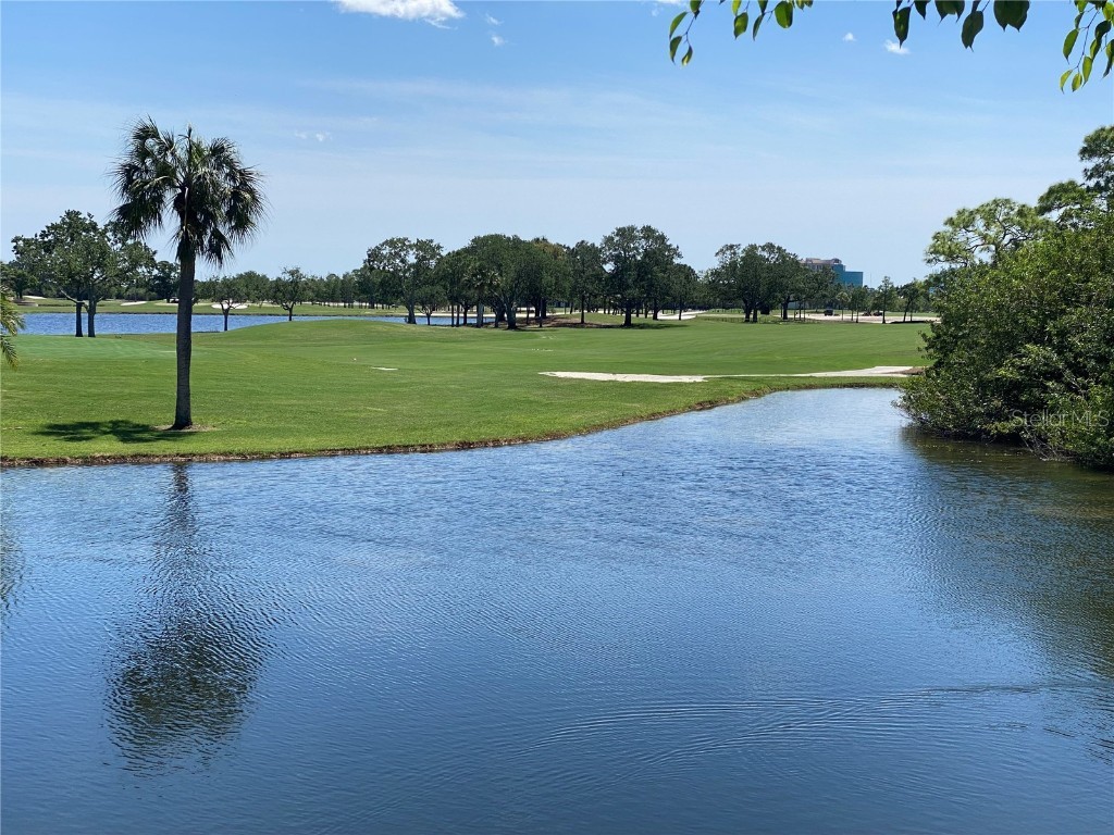 2253 Heron Circle Clearwater FL 33762 TB8436080 image39