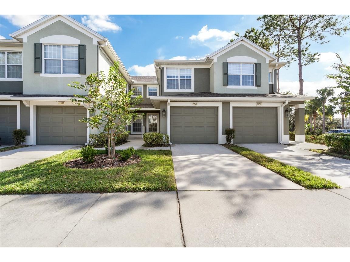 2253 Kings Palace Drive Riverview FL 33578 T3480541 image1