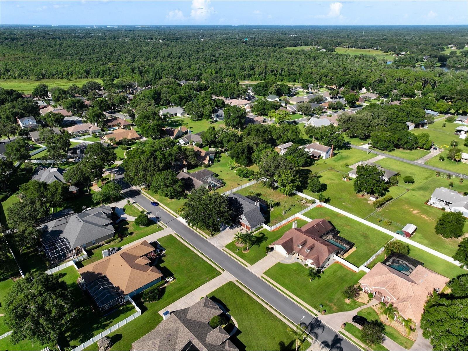 2253 Malachite Drive Lakeland FL 33810 S5136535 image68