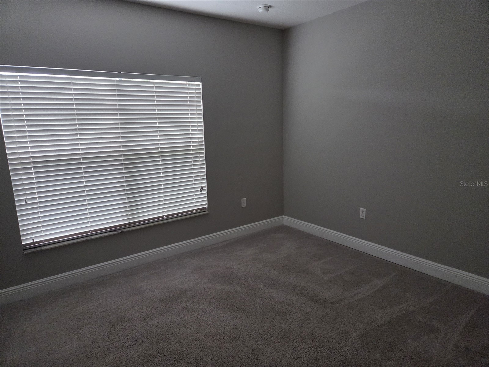 2253 Sheboygan Place Kissimmee FL 34758 S5151426 image4