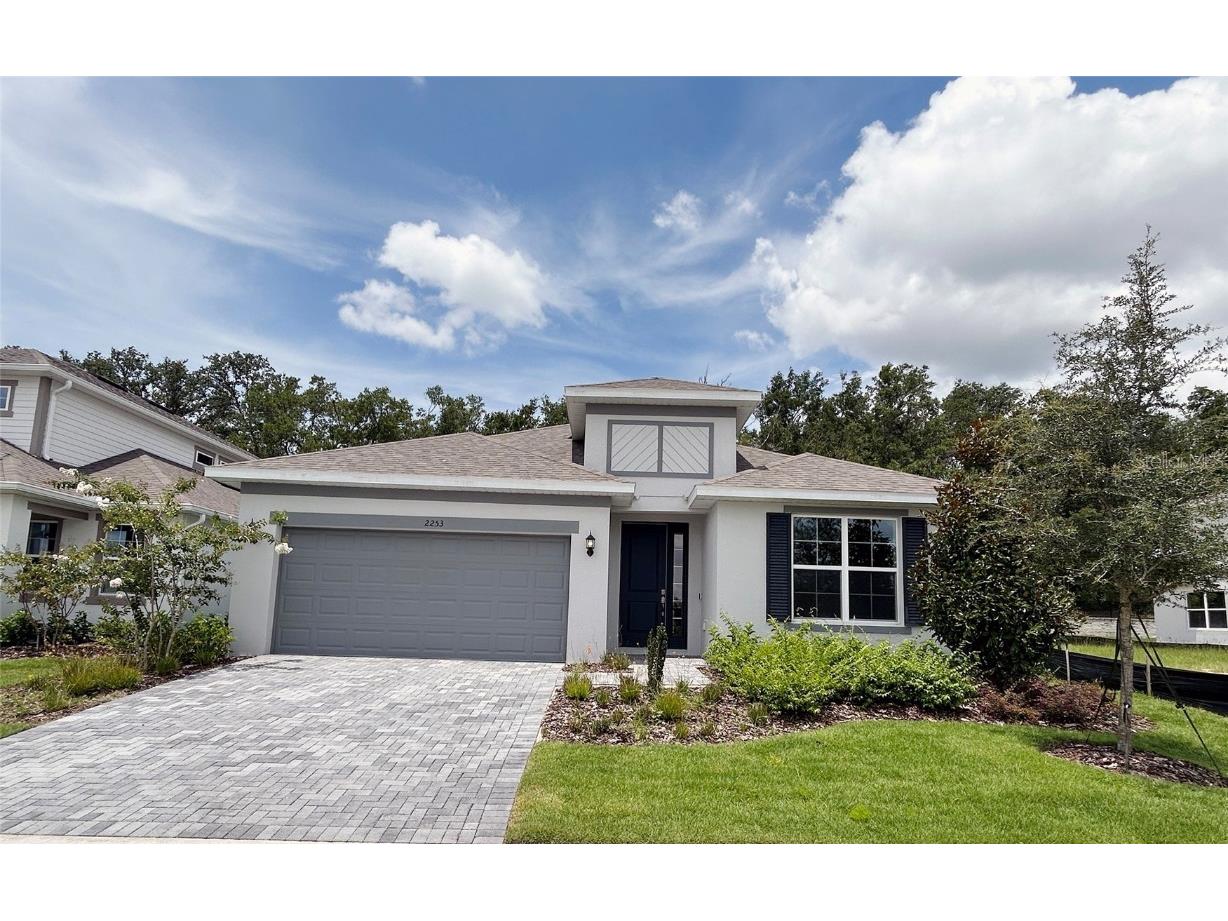 2253 Sirena Lane Mount Dora FL 32757 O6246005 image1
