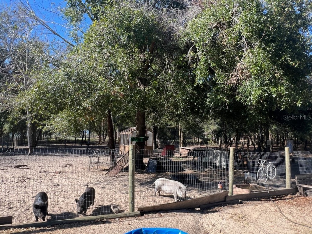 22531 5th St Howey In The Hills FL 34737 G5104932 image36