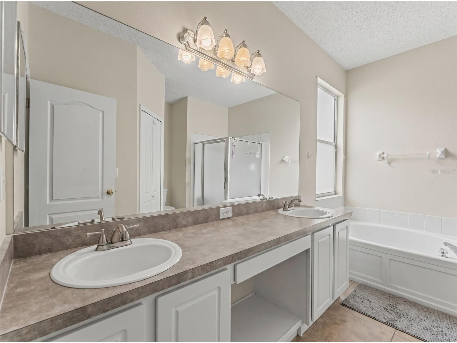 22536 Laureldale Drive Lutz FL 33549 W7886093 image34