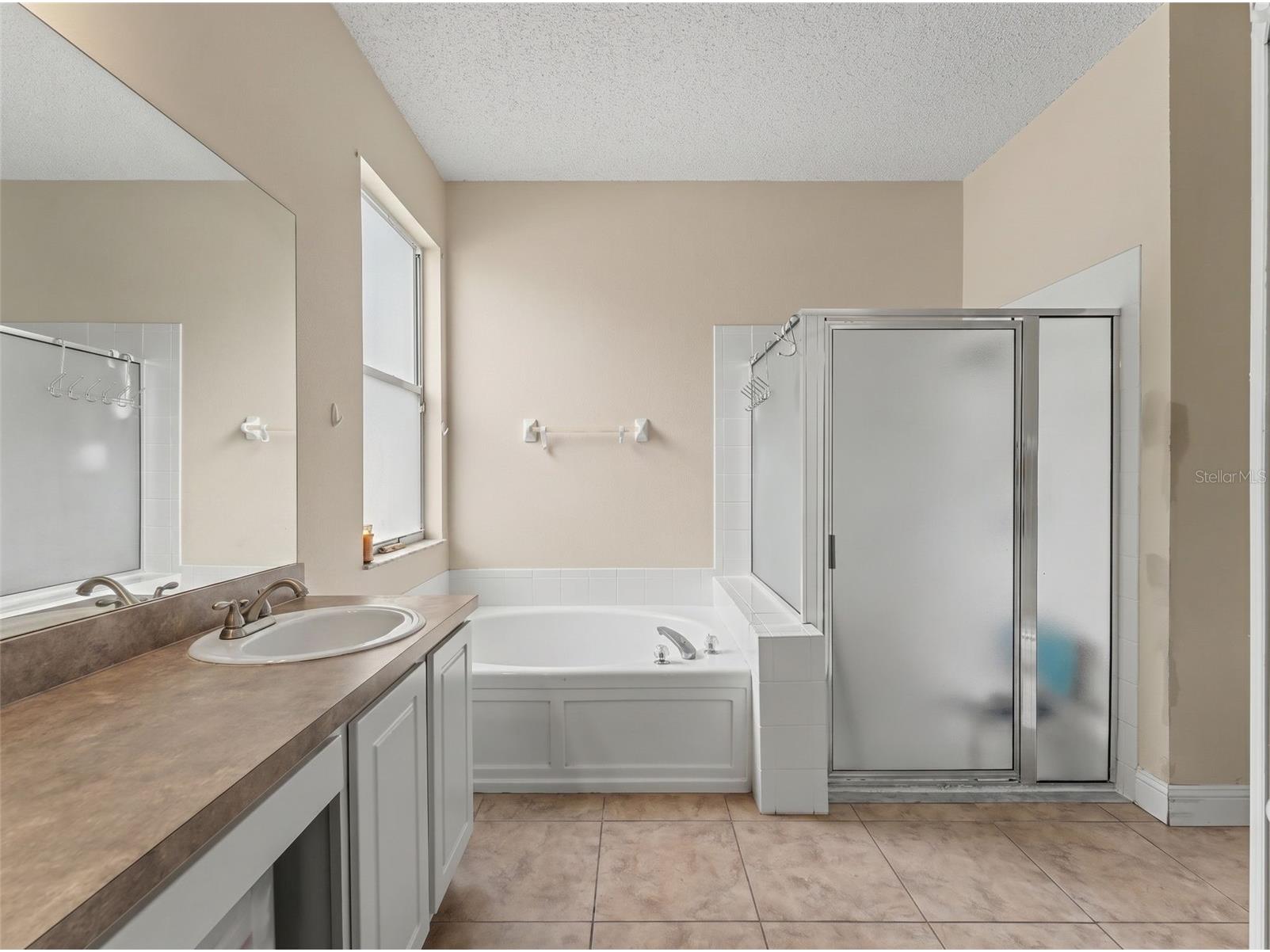 22536 Laureldale Drive Lutz FL 33549 W7886093 image35