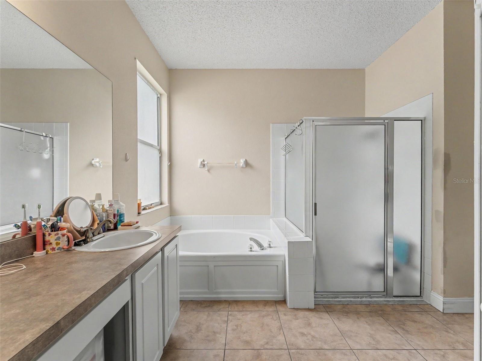 22536 Laureldale Drive Lutz FL 33549 W7886093 image36