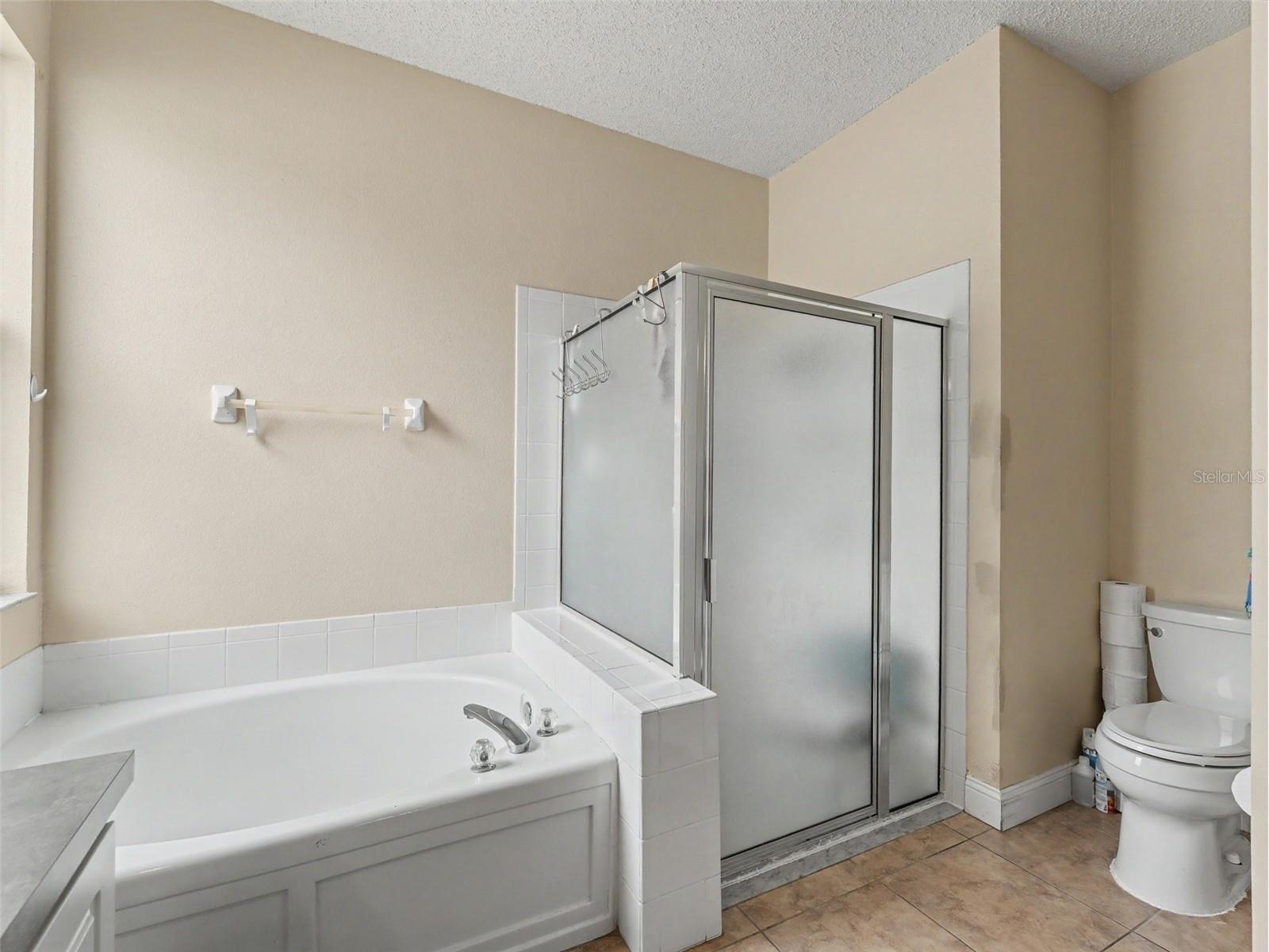 22536 Laureldale Drive Lutz FL 33549 W7886093 image37