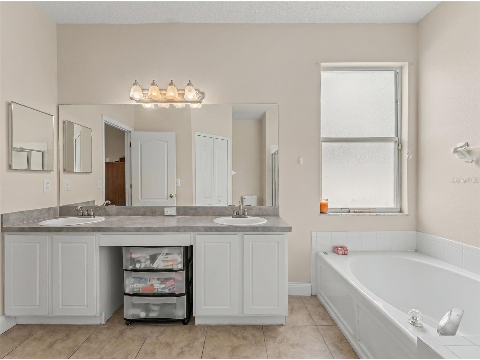 22536 Laureldale Drive Lutz FL 33549 W7886093 image38