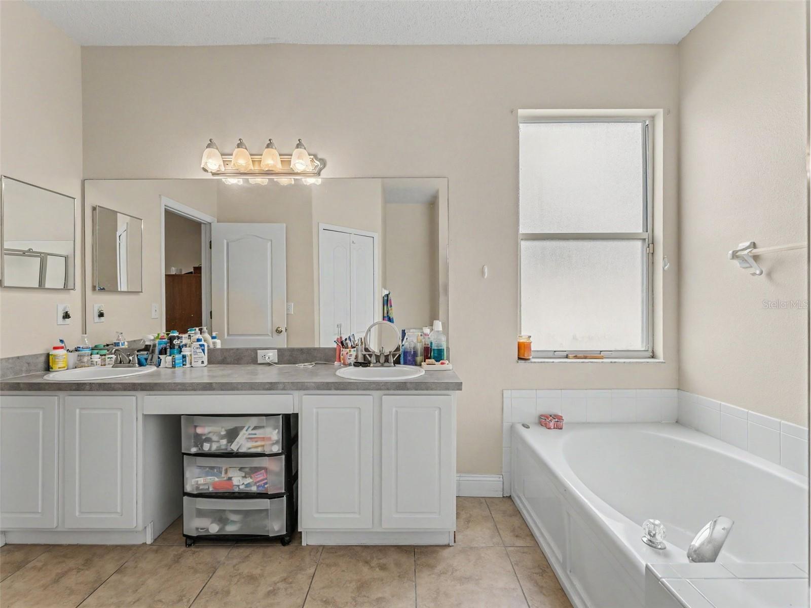 22536 Laureldale Drive Lutz FL 33549 W7886093 image39