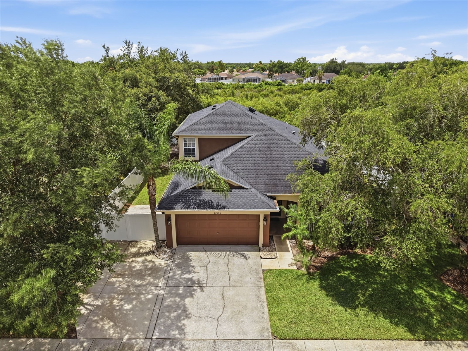 22536 Laureldale Drive Lutz FL 33549 W7886093 image4