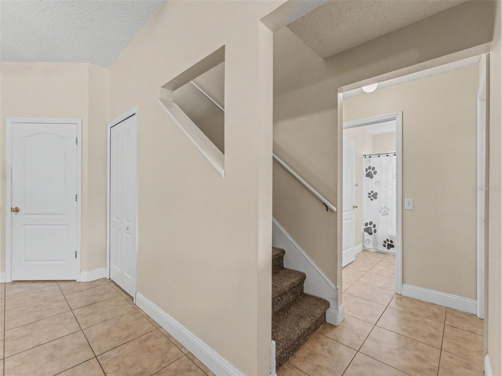 22536 Laureldale Drive Lutz FL 33549 W7886093 image40