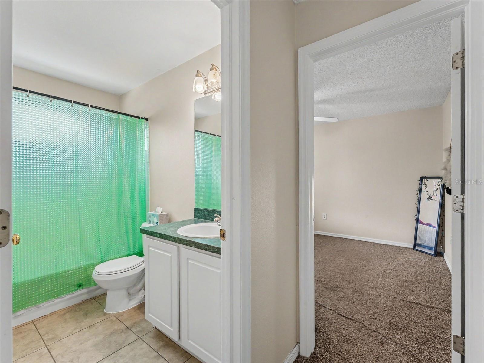 22536 Laureldale Drive Lutz FL 33549 W7886093 image49