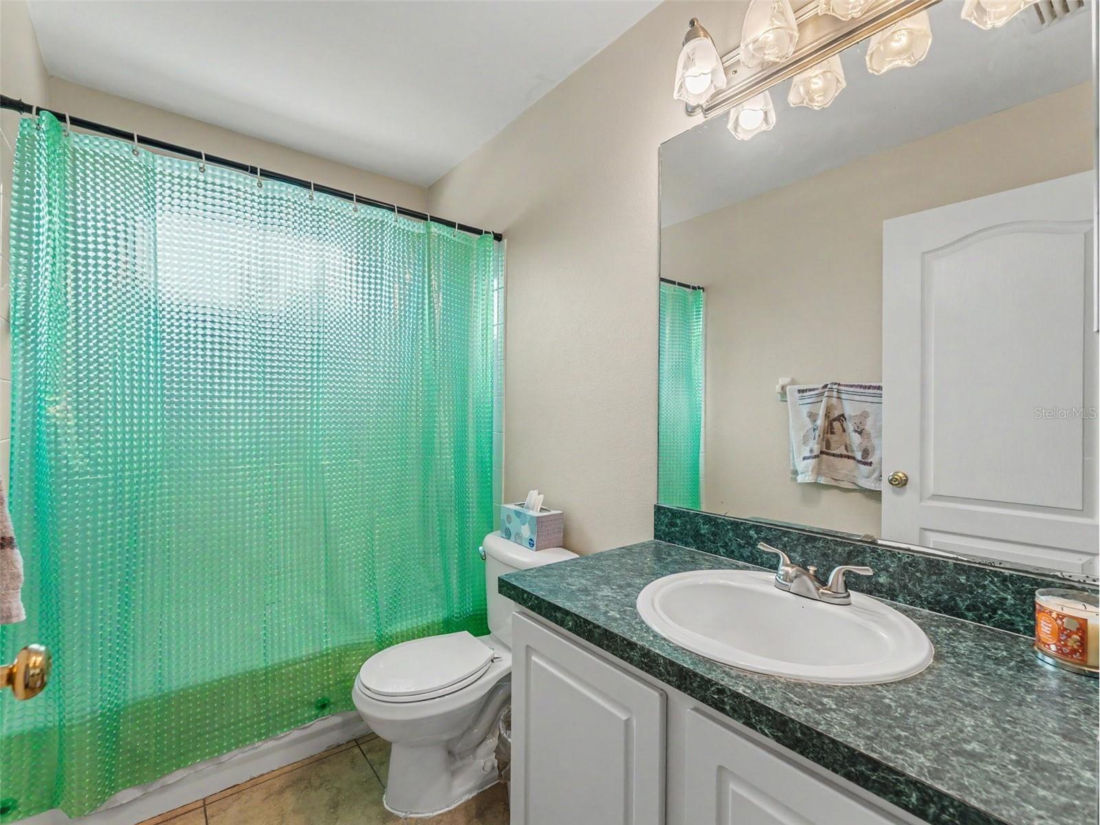22536 Laureldale Drive Lutz FL 33549 W7886093 image50