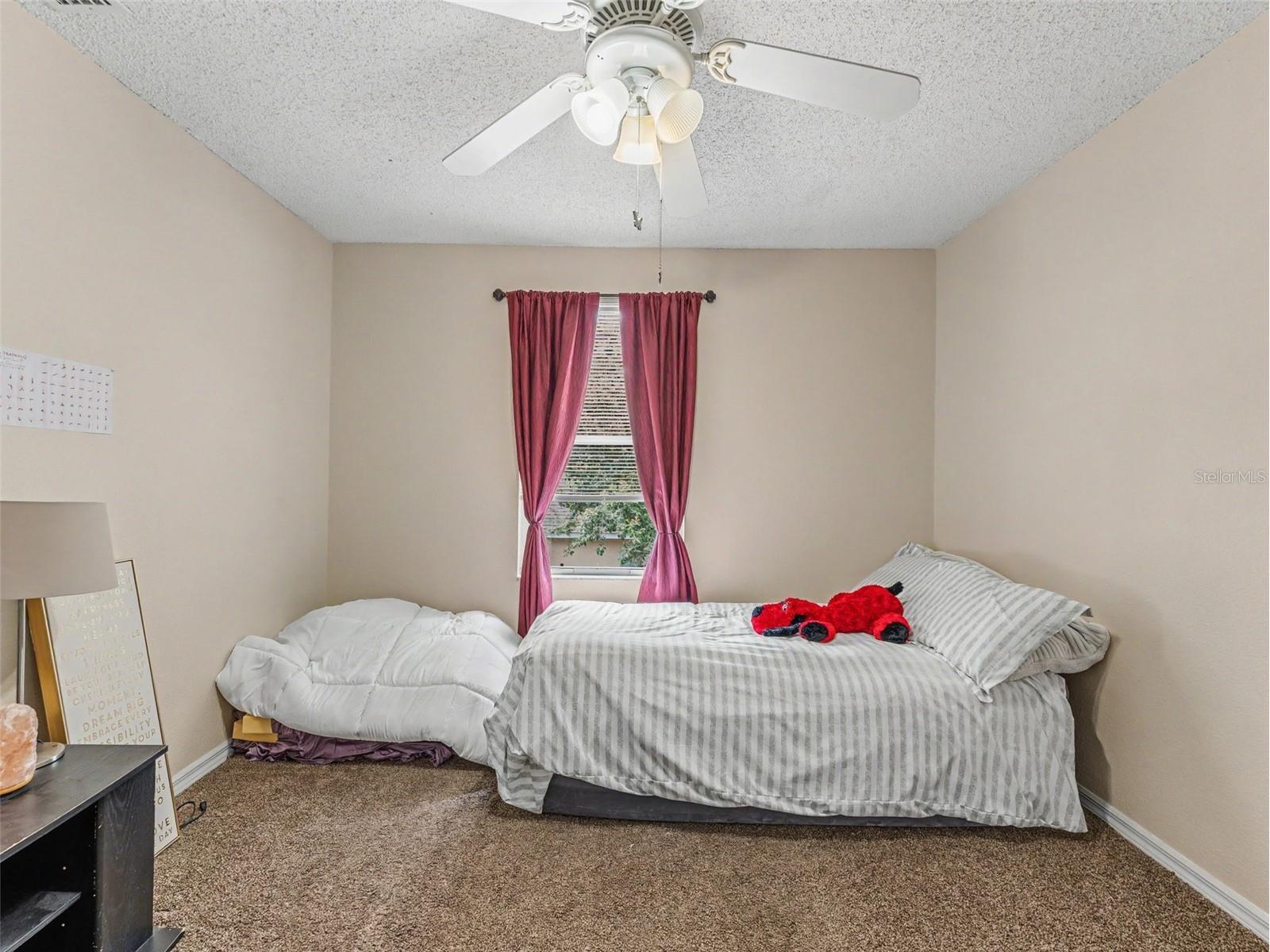 22536 Laureldale Drive Lutz FL 33549 W7886093 image53