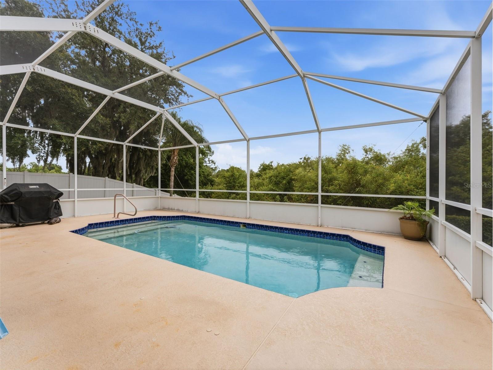 22536 Laureldale Drive Lutz FL 33549 W7886093 image55
