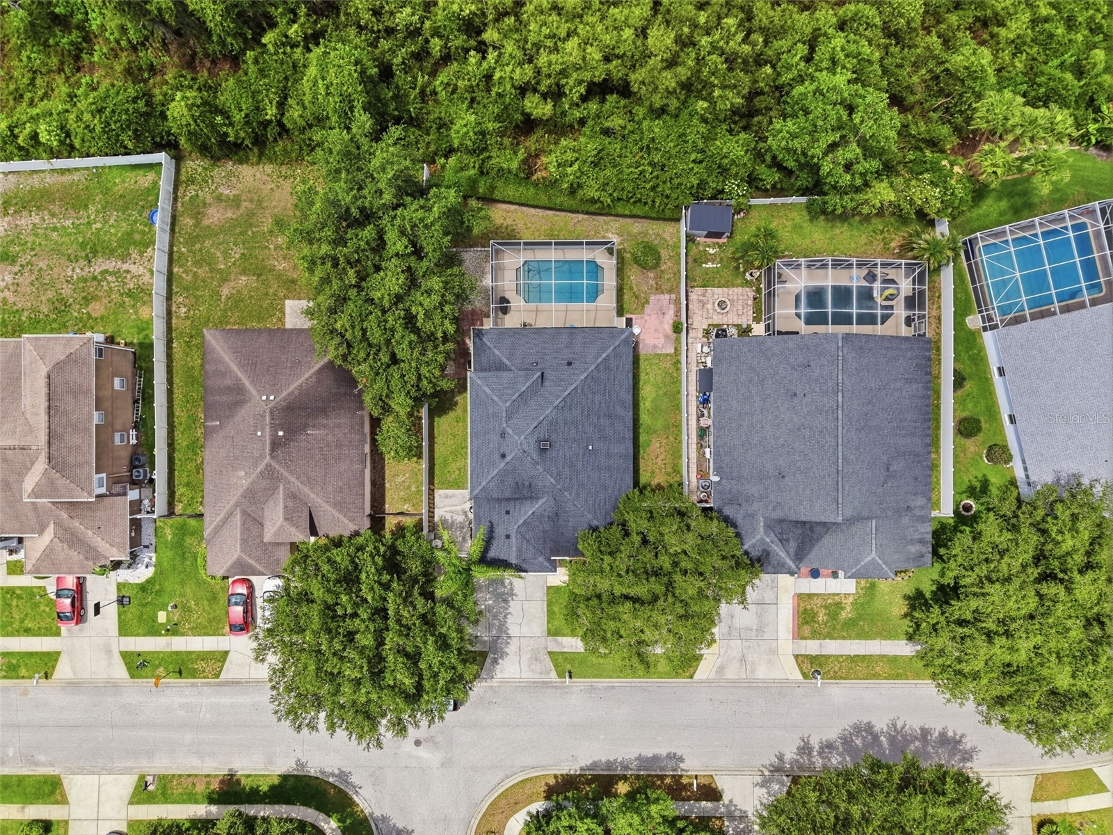 22536 Laureldale Drive Lutz FL 33549 W7886093 image66