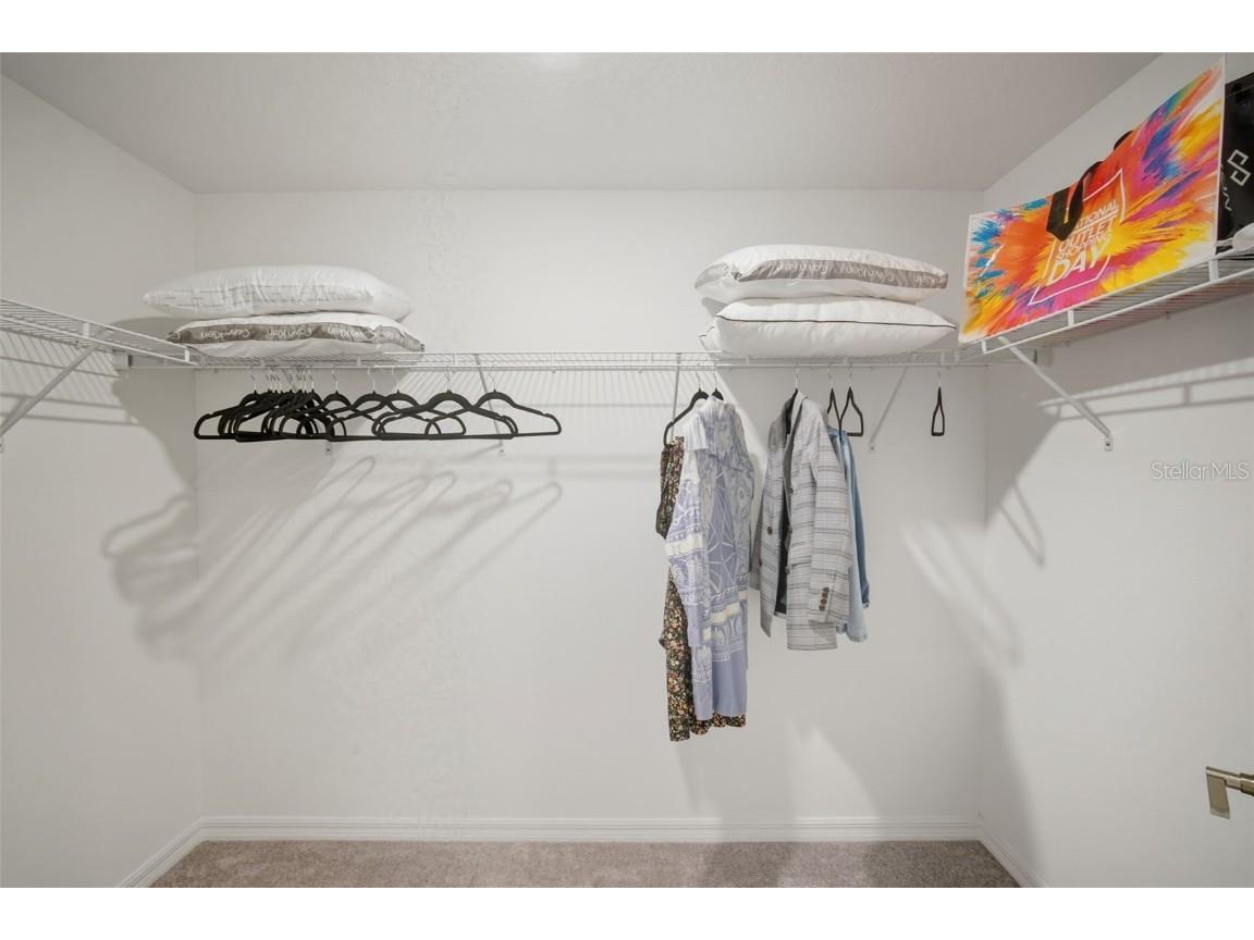 22539 Storybook Cabin Way Land O Lakes FL 34637 TB8428647 image16