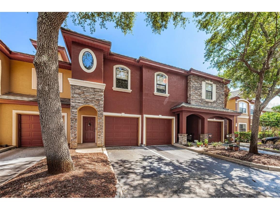 2254 Chianti Place #66 Palm Harbor FL 34683 U8205010 image1