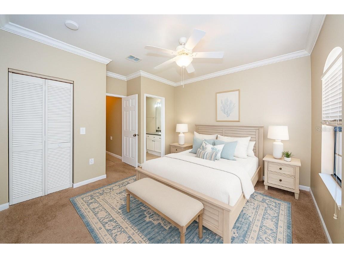 2254 Chianti Place #66 Palm Harbor FL 34683 TB8446397 image11