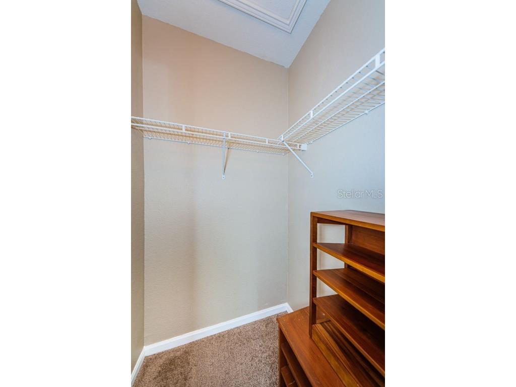 2254 Chianti Place #66 Palm Harbor FL 34683 TB8446397 image13