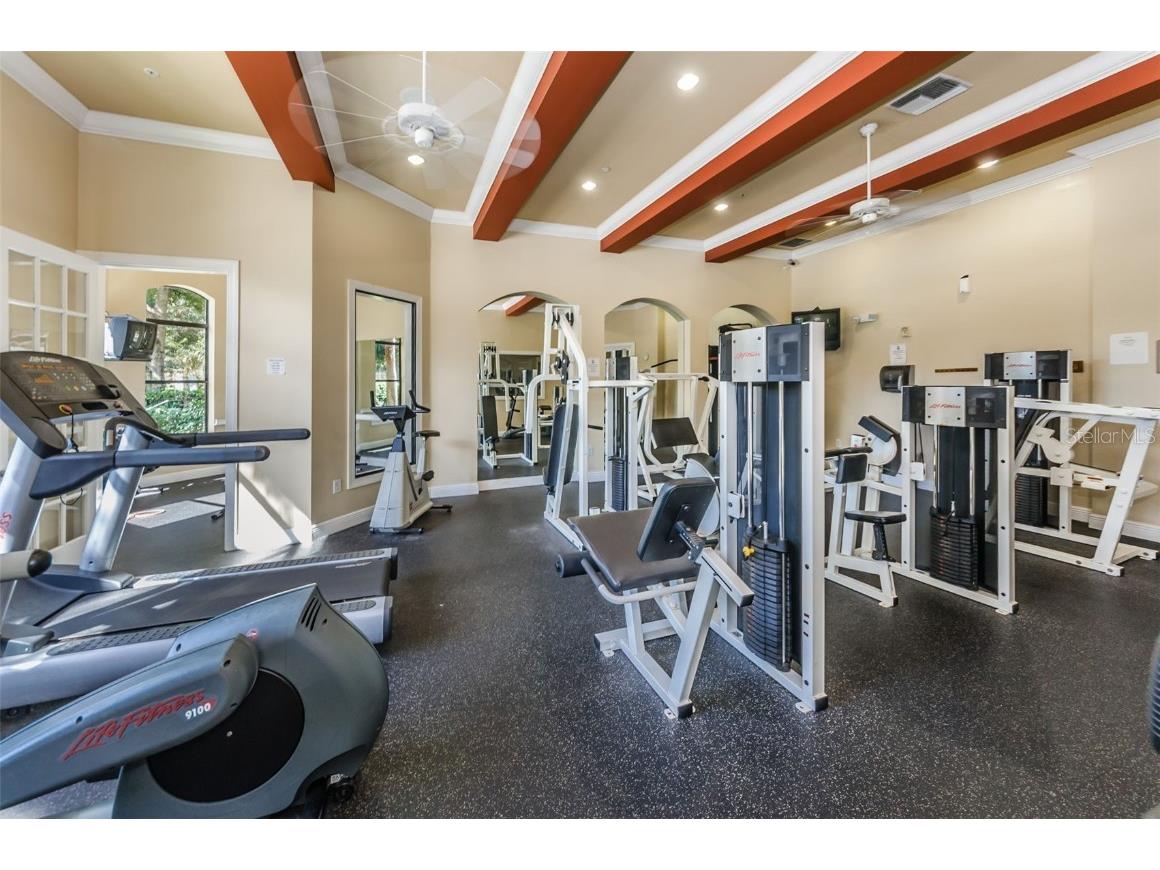 2254 Chianti Place #66 Palm Harbor FL 34683 TB8446397 image35