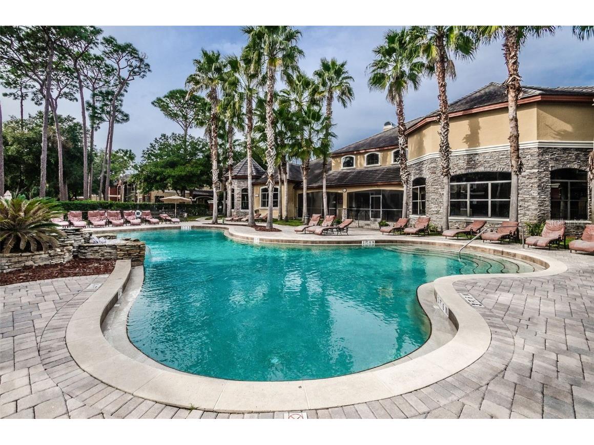 2254 Chianti Place #66 Palm Harbor FL 34683 TB8446397 image49