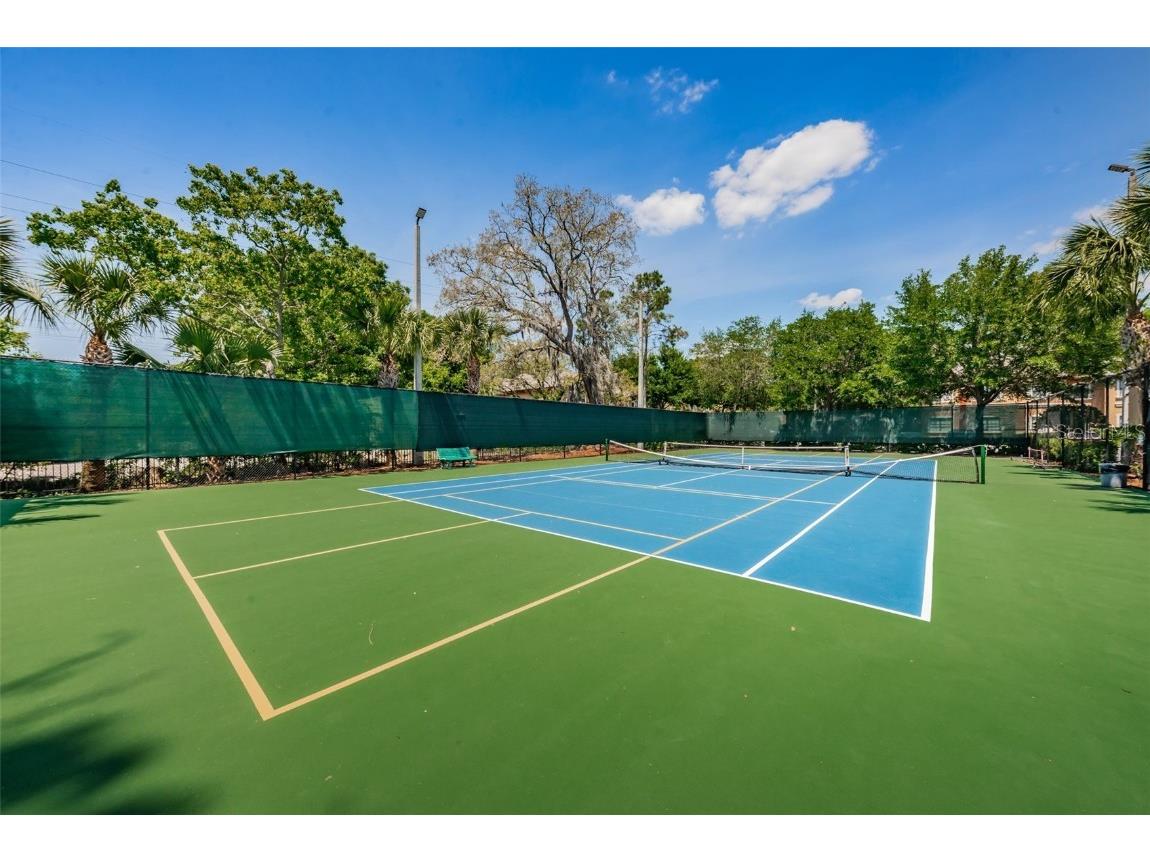 2254 Chianti Place #66 Palm Harbor FL 34683 TB8446397 image58