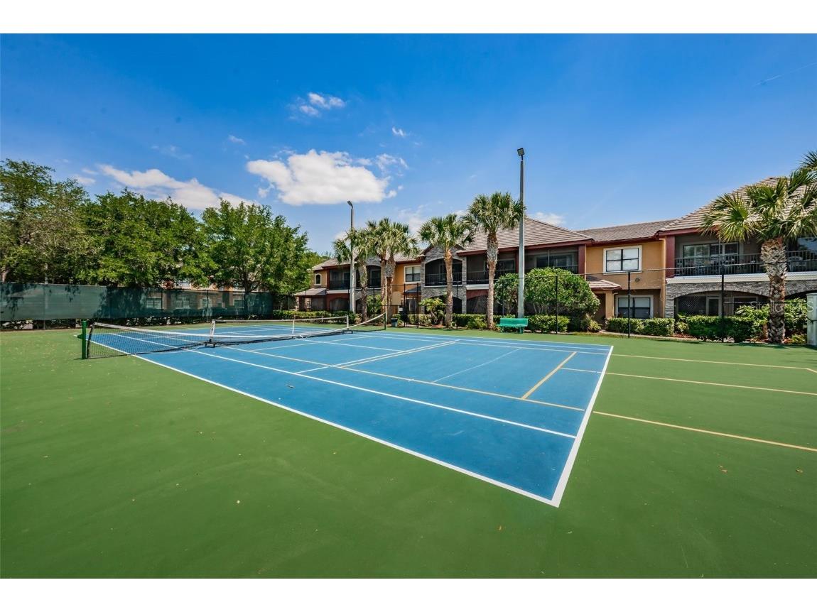 2254 Chianti Place #66 Palm Harbor FL 34683 TB8446397 image59
