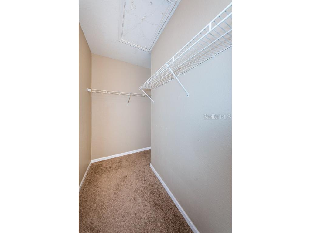 2254 Chianti Place #66 Palm Harbor FL 34683 TB8446397 image9