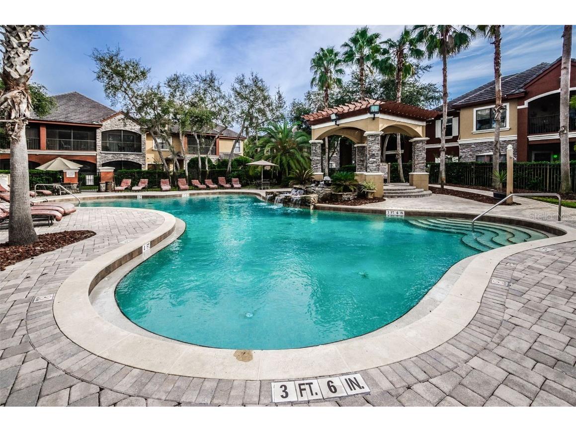 2254 Chianti Place #66 Palm Harbor FL 34683 TB8455156 image19