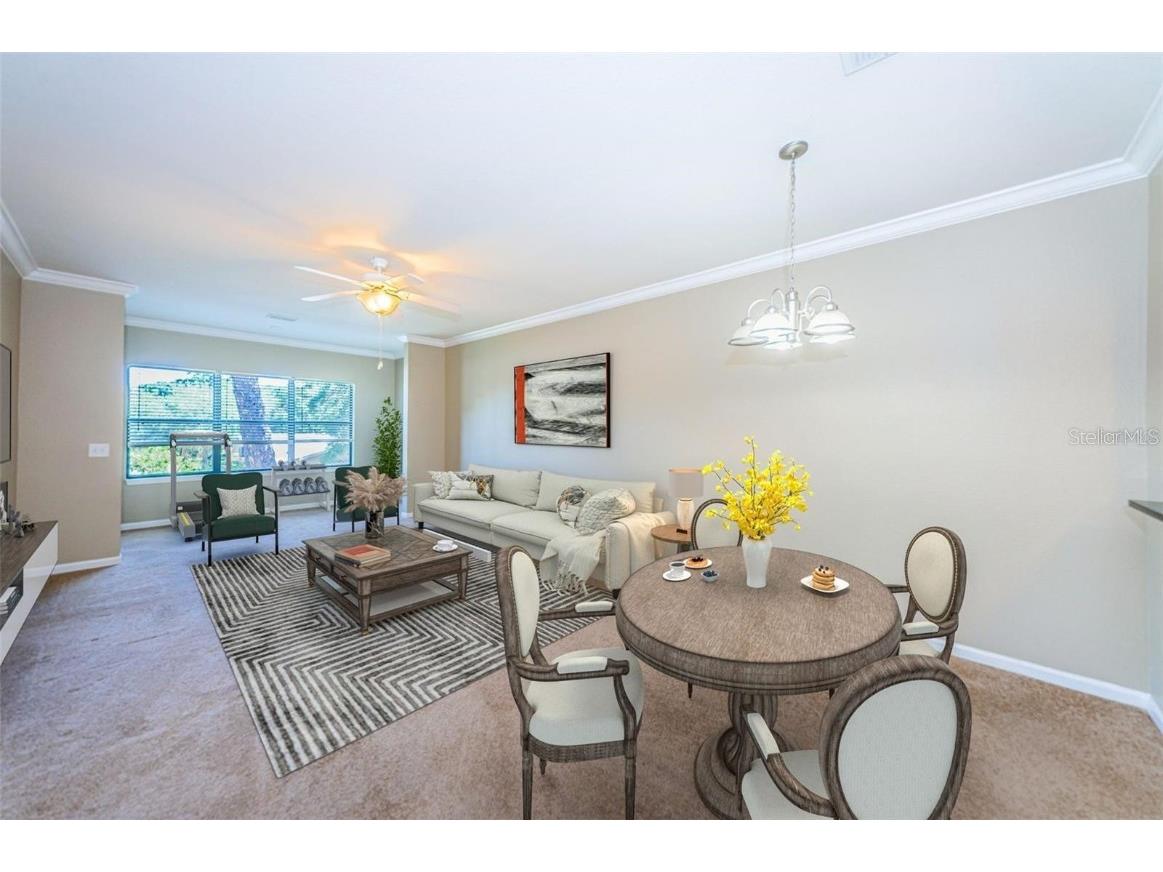 2254 Chianti Place #66 Palm Harbor FL 34683 TB8455156 image2