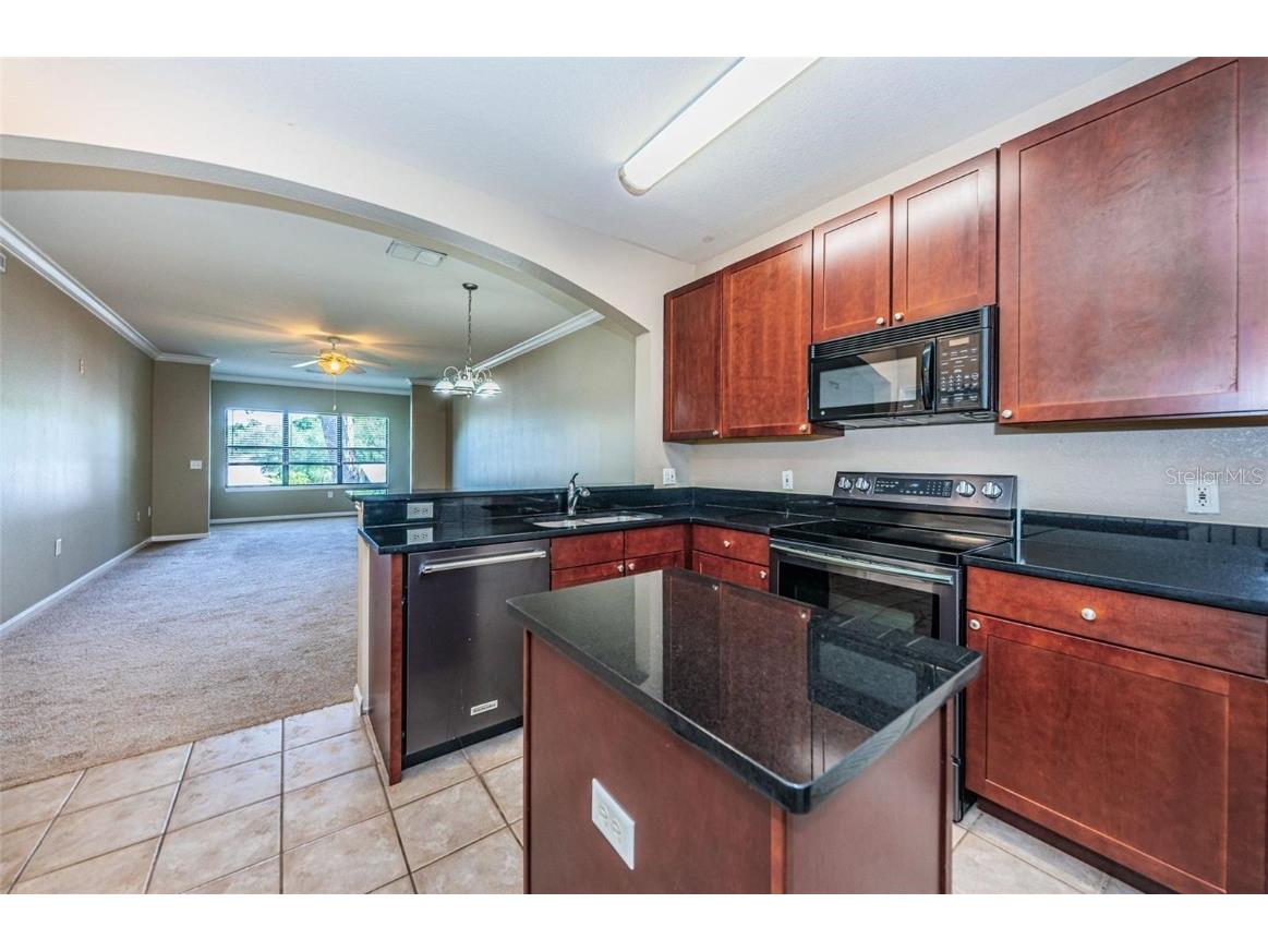 2254 Chianti Place #66 Palm Harbor FL 34683 TB8455156 image5