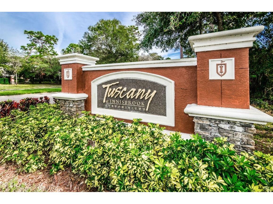 2254 Chianti Place #68 Palm Harbor FL 34683 TB8342660 image17