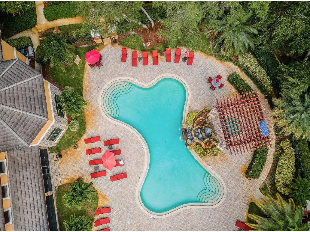 2254 Chianti Place #68 Palm Harbor FL 34683 TB8342660 image28