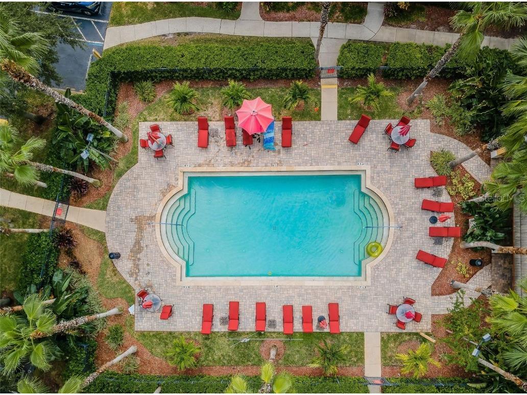 2254 Chianti Place #68 Palm Harbor FL 34683 TB8342660 image32