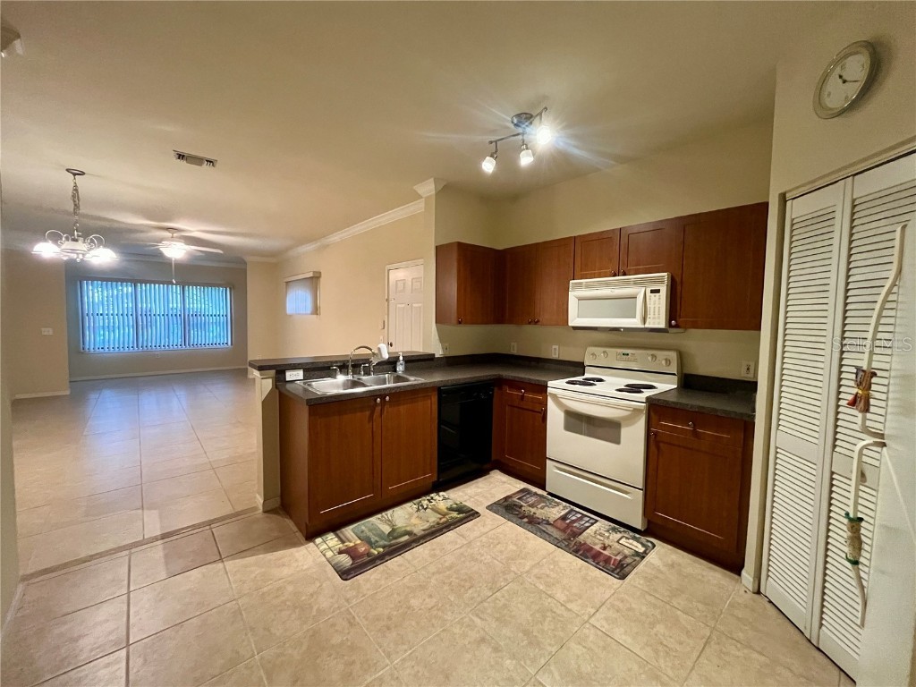 2254 Chianti Place #68 Palm Harbor FL 34683 TB8342660 image4