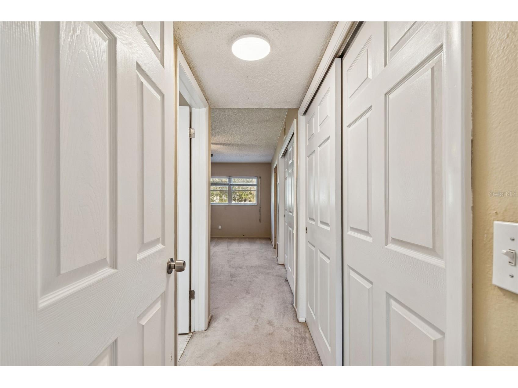 2254 Norwegian Drive #28 Clearwater FL 33763 TB8474086 image36