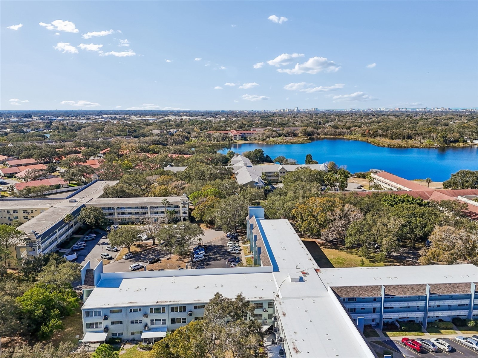 2254 Norwegian Drive #28 Clearwater FL 33763 TB8474086 image53