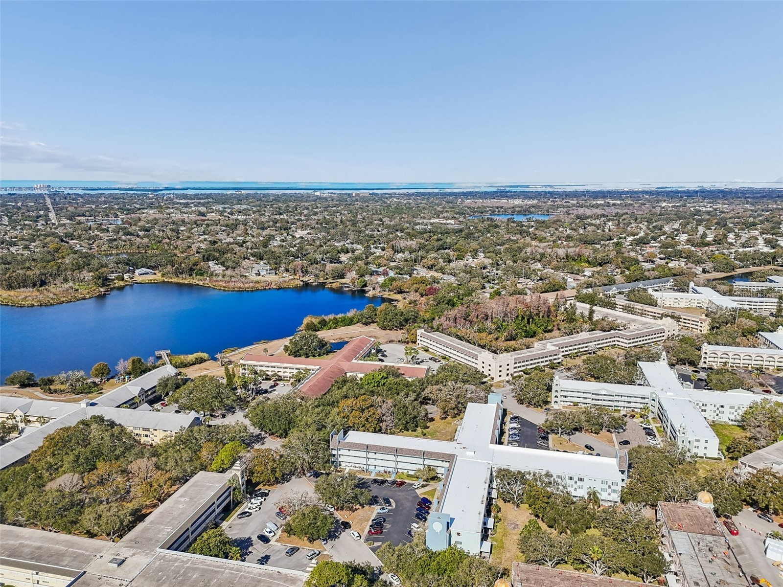 2254 Norwegian Drive #28 Clearwater FL 33763 TB8474086 image59
