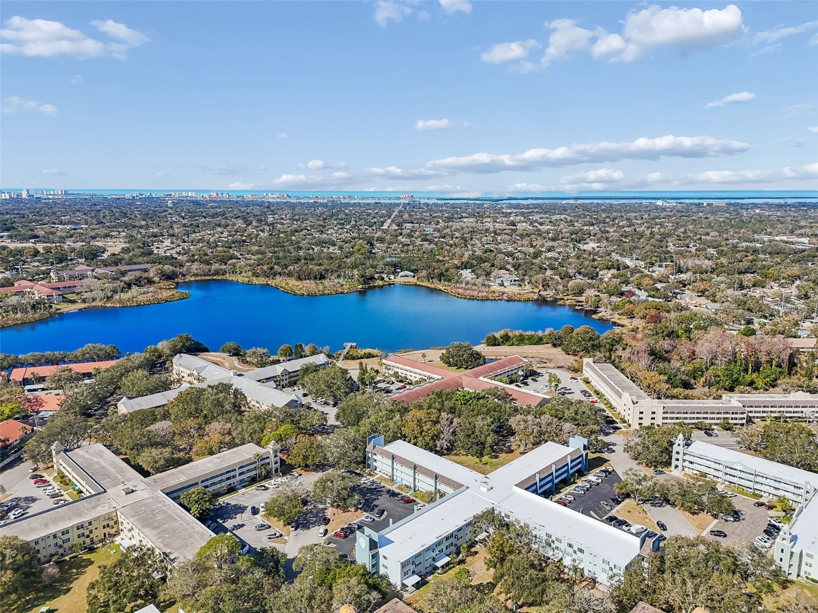 2254 Norwegian Drive #28 Clearwater FL 33763 TB8474086 image60