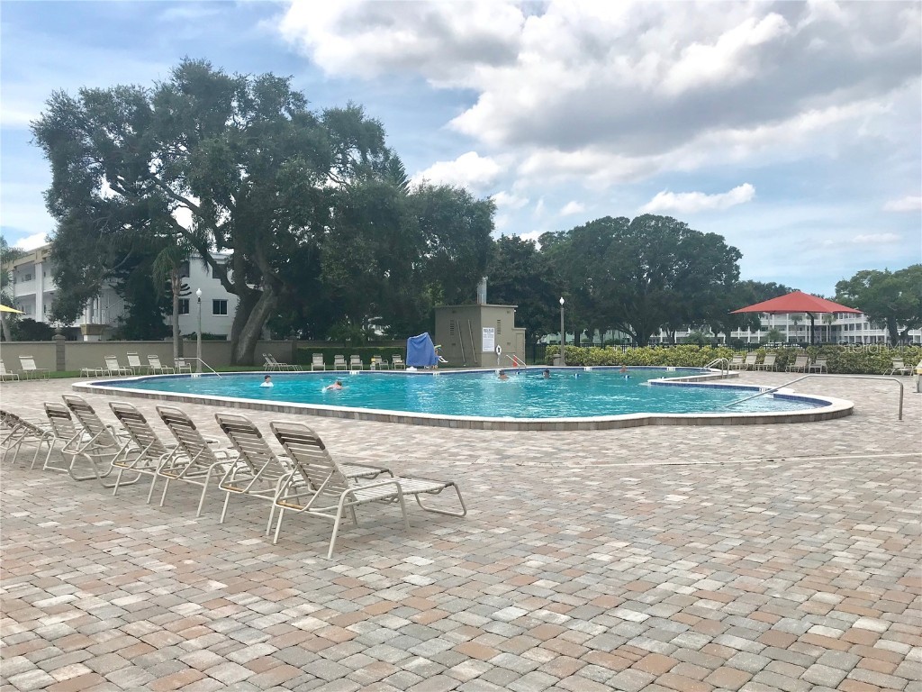 2254 Norwegian Drive #46 Clearwater FL 33763 TB8379334 image23