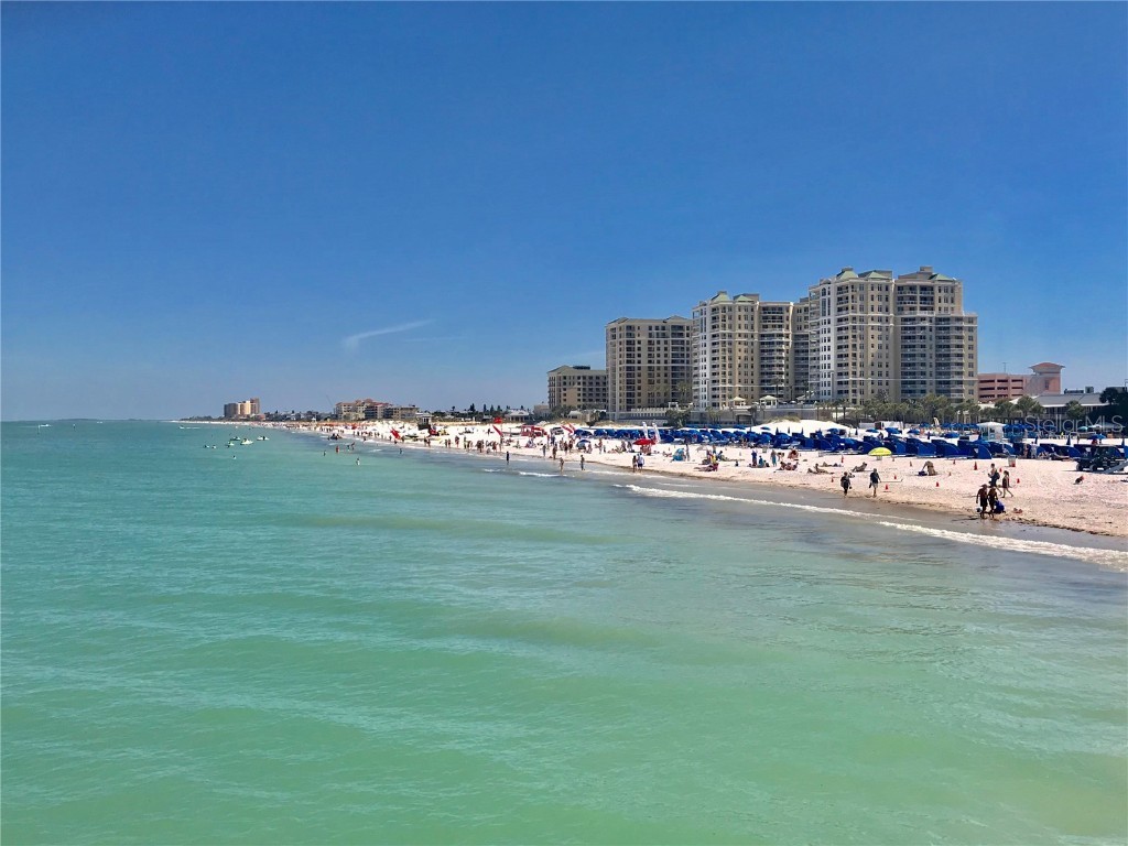 2254 Norwegian Drive #46 Clearwater FL 33763 TB8379334 image31