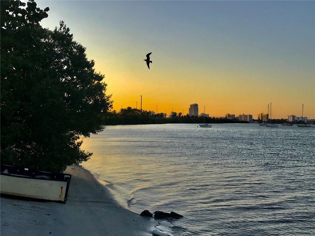 2254 Norwegian Drive #46 Clearwater FL 33763 TB8379334 image32