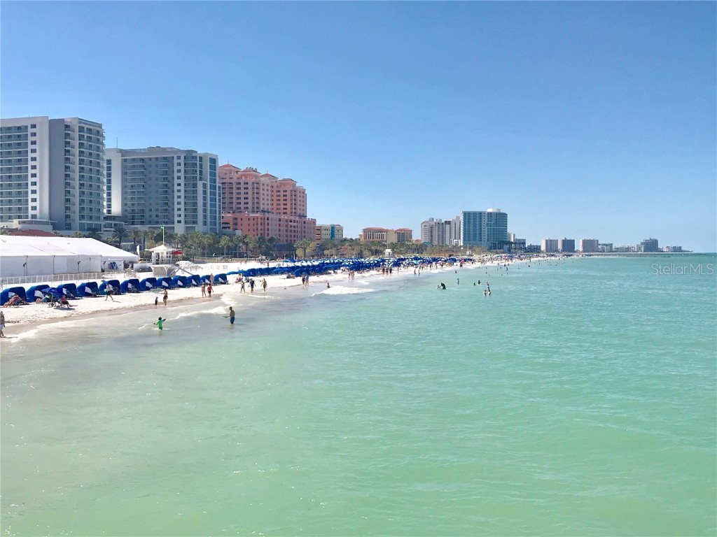 2254 Norwegian Drive #46 Clearwater FL 33763 TB8379334 image33