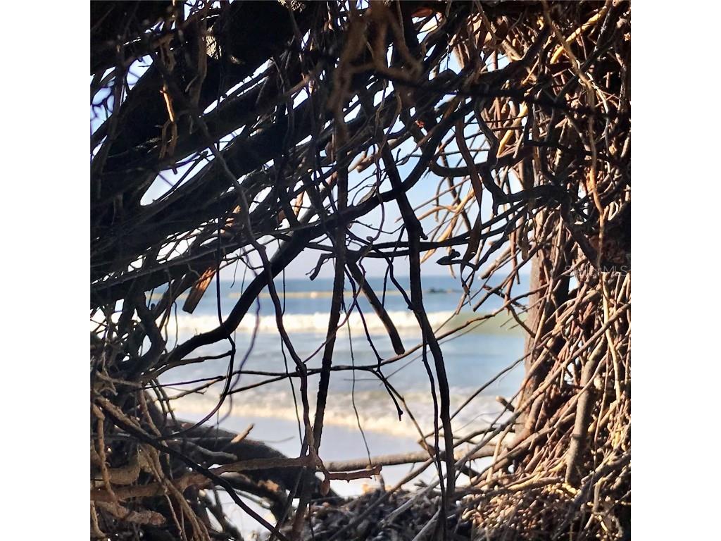 2254 Norwegian Drive #46 Clearwater FL 33763 TB8379334 image34