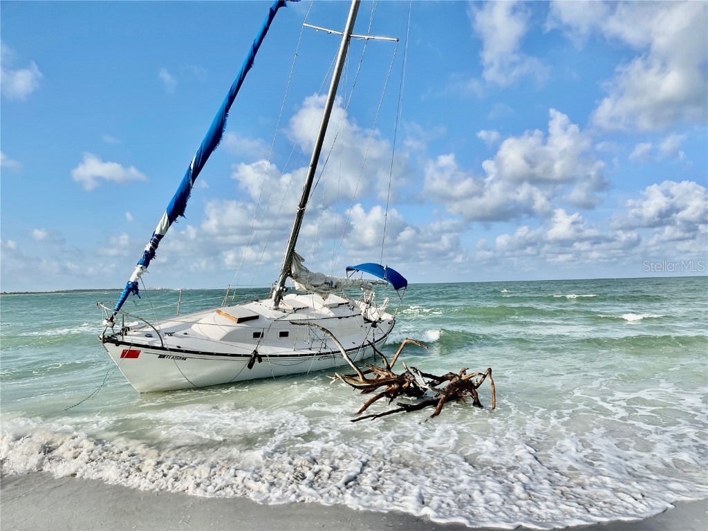 2254 Norwegian Drive #46 Clearwater FL 33763 TB8379334 image35