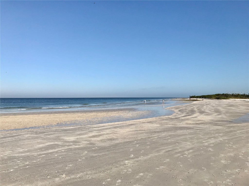 2254 Norwegian Drive #46 Clearwater FL 33763 TB8379334 image36