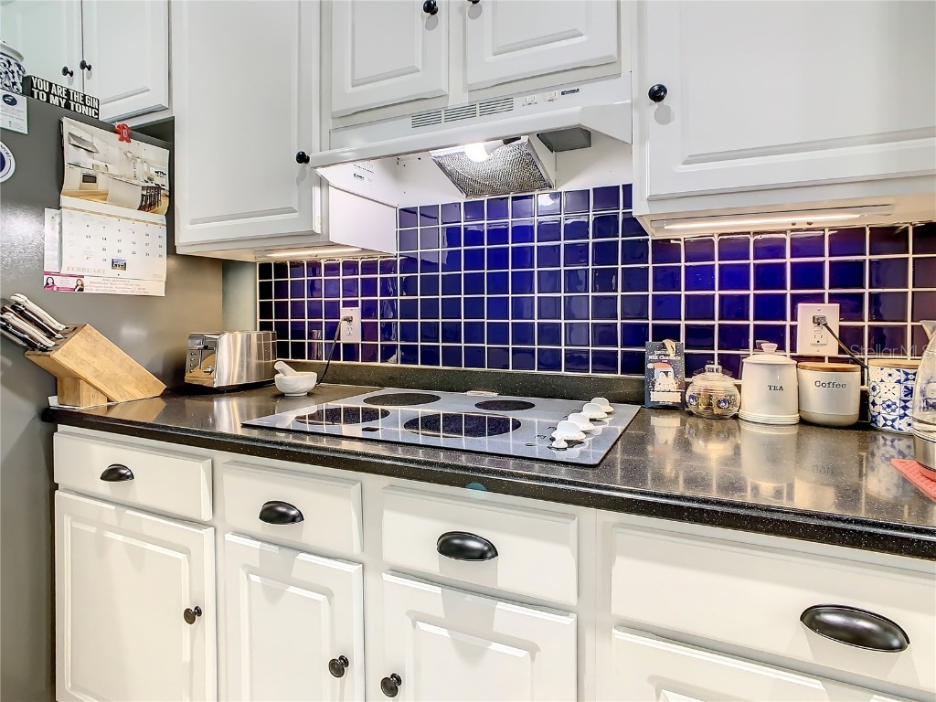 2254 Viehman Trail Kissimmee FL 34746 O6356188 image21