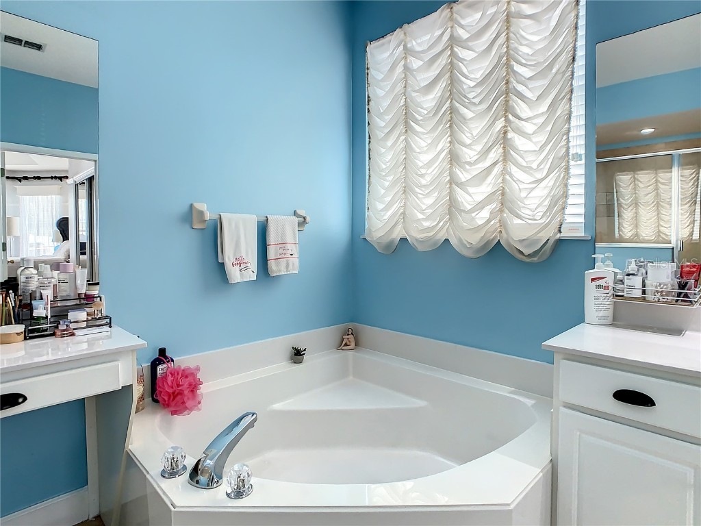 2254 Viehman Trail Kissimmee FL 34746 O6356188 image31